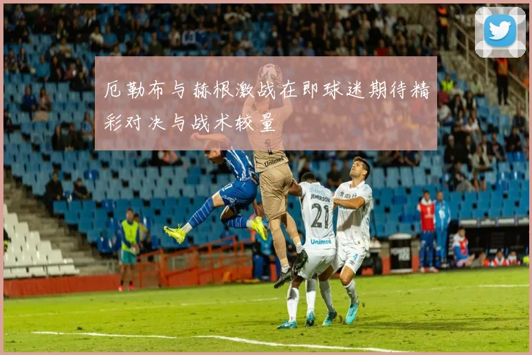 厄勒布与赫根激战在即球迷期待精彩对决与战术较量