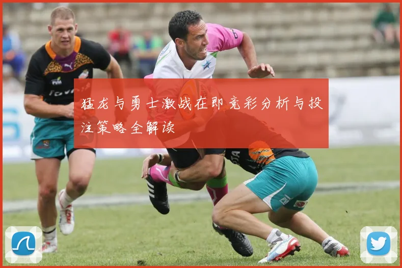 猛龙与勇士激战在即竞彩分析与投注策略全解读